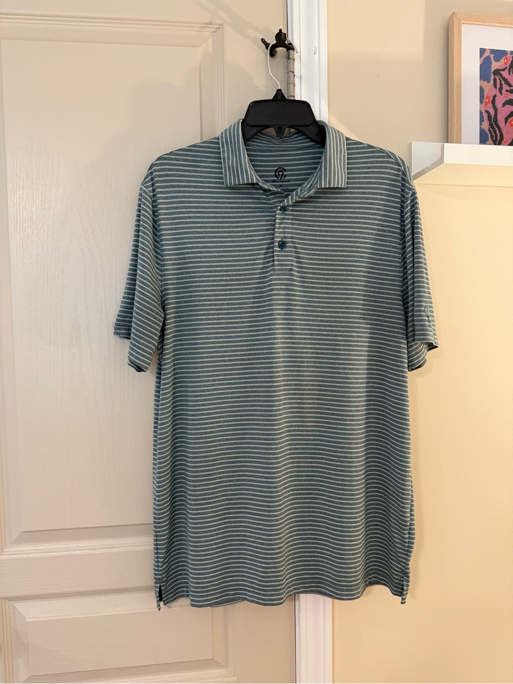 Champion Men's Striped Golf Polo in Teal and White